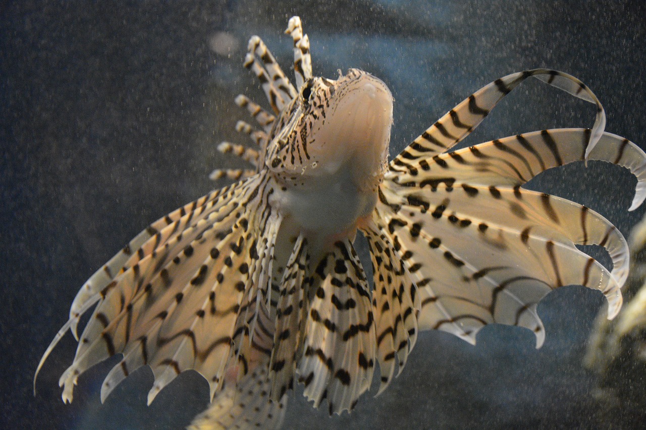 f0329325_130477.jpg