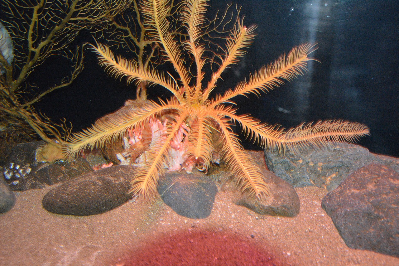 f0329325_13320100.jpg