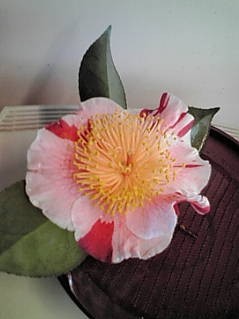 a0098027_22413541.jpg