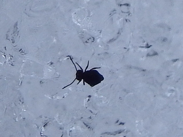 f0118332_21481757.jpg
