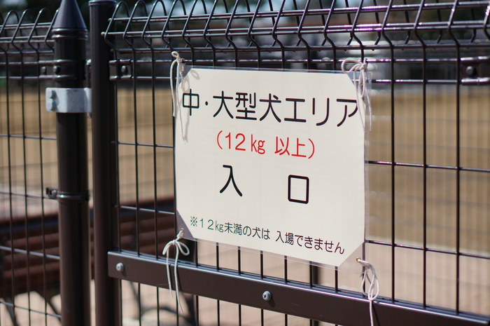 a0267860_17515085.jpg