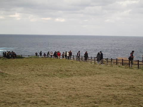 d0029363_2331166.jpg