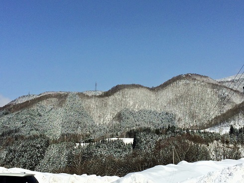 e0195766_12000995.jpg