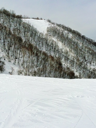 e0195766_12001341.jpg