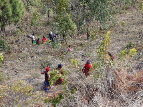 e0155370_2103648.jpg
