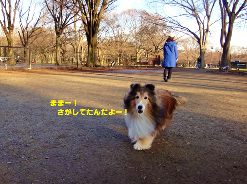 a0157174_21164166.png
