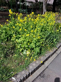 c0189683_13505690.jpg