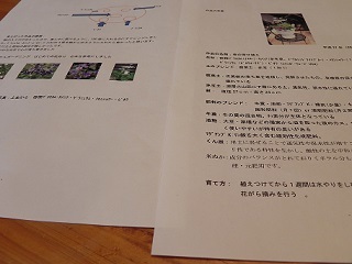 c0152002_18351006.jpg