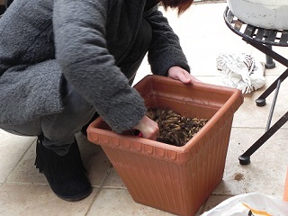 c0152002_18362851.jpg