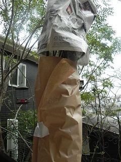 c0152002_18390764.jpg