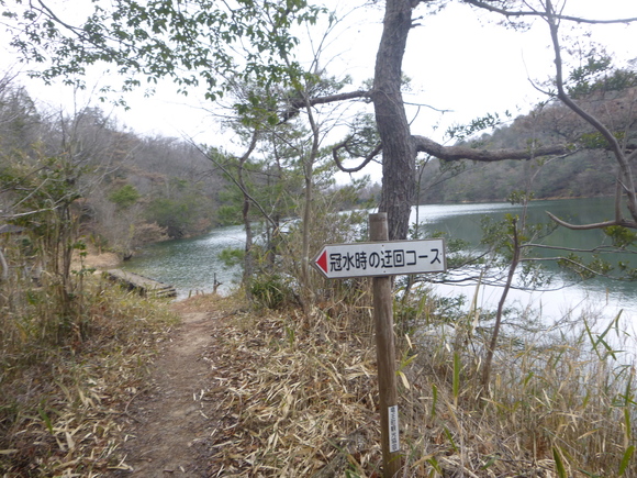 d0170615_2155253.jpg