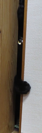 c0280322_12035191.jpg