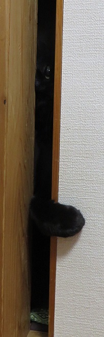 c0280322_20465677.jpg