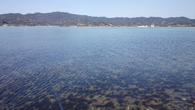 b0259124_8155773.jpg
