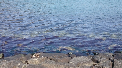 b0259124_864148.jpg