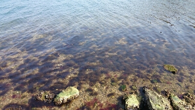b0259124_875575.jpg