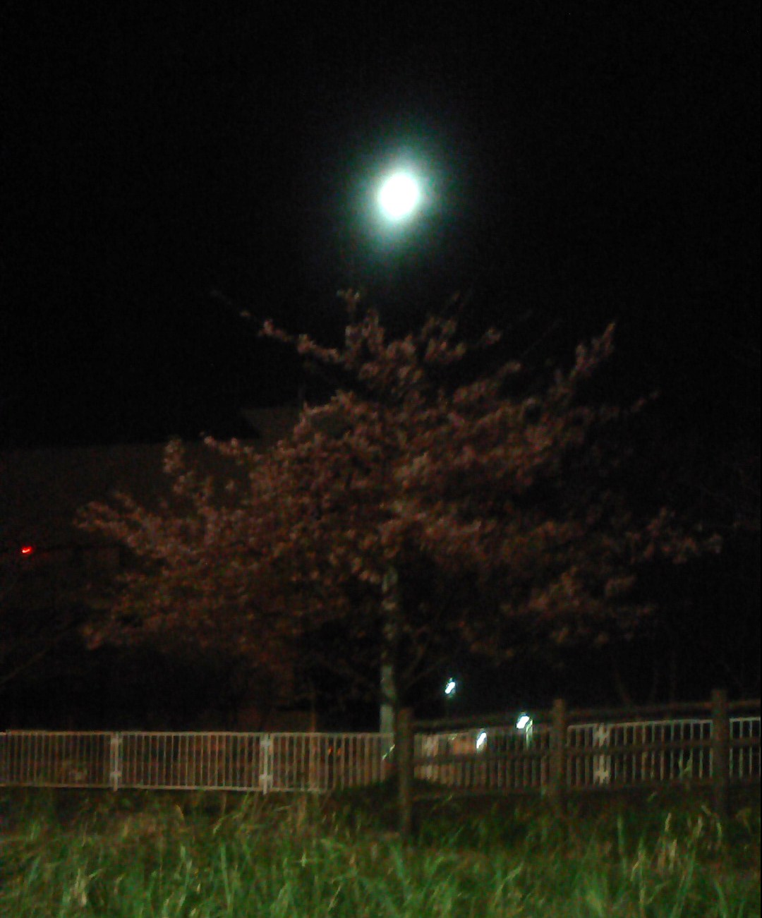 b0137932_11152013.jpg