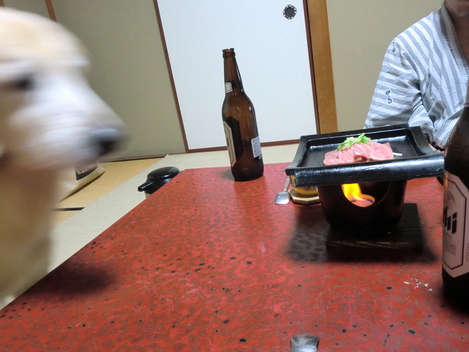 c0236632_8374685.jpg