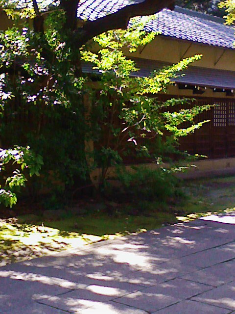 b0031140_1885084.jpg