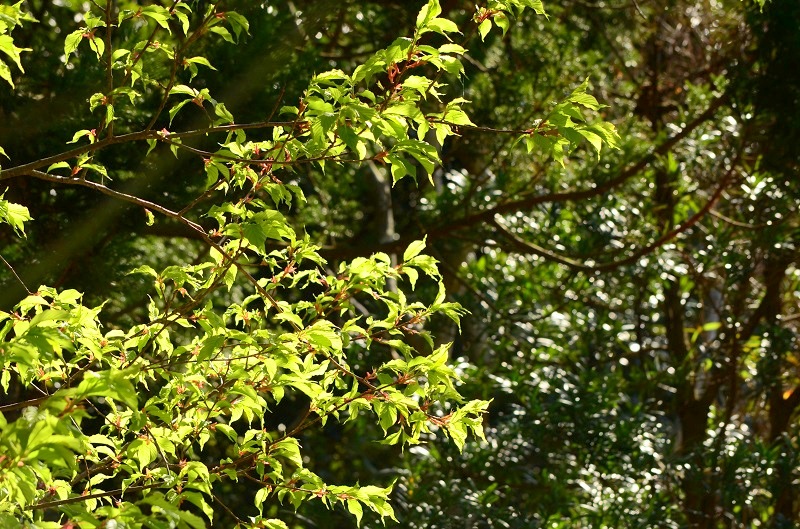 b0288942_2114754.jpg