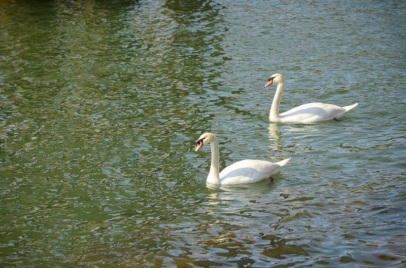 b0288942_21151358.jpg