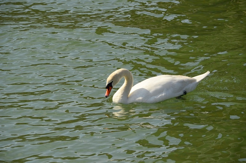 b0288942_21191396.jpg