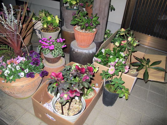c0147952_0243744.jpg
