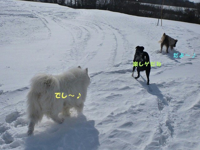 e0176159_09251025.jpg