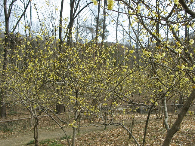 a0052762_2273380.jpg