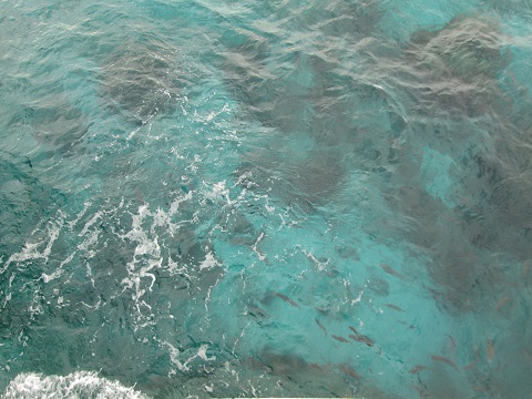d0029363_0122259.jpg