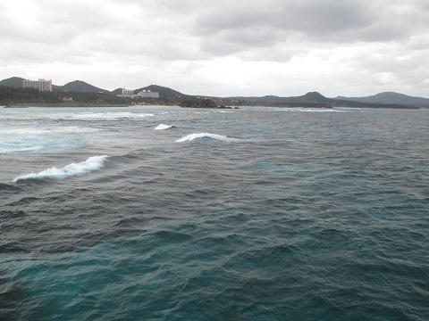 d0029363_012533.jpg