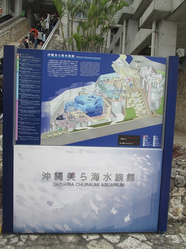 d0029363_1354857.jpg