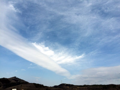 c0050264_10484146.jpg
