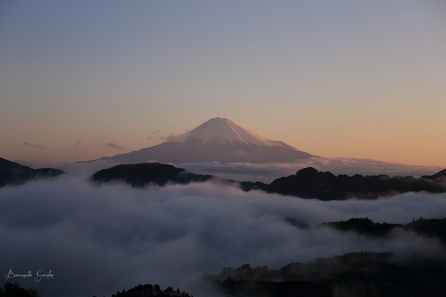 a0135366_21494330.jpg