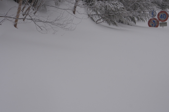 e0307372_21385122.jpg