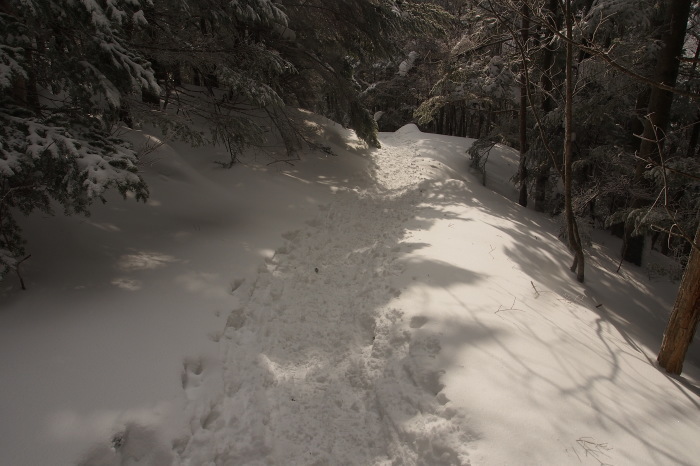 e0307372_22213136.jpg