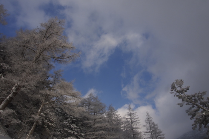 e0307372_22264751.jpg