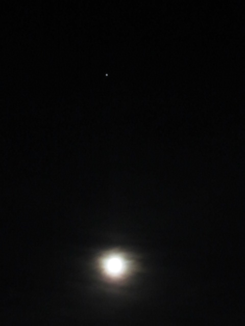 d0109373_8572434.jpg