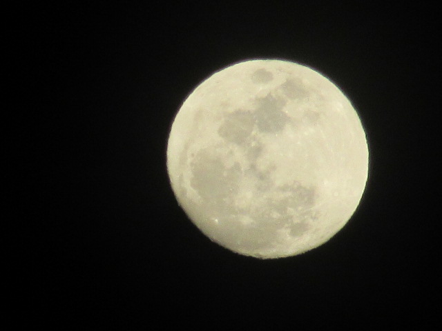 d0109373_8592680.jpg