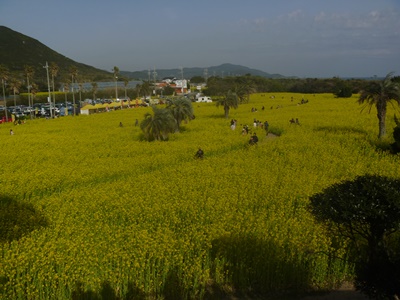 e0164874_21113461.jpg