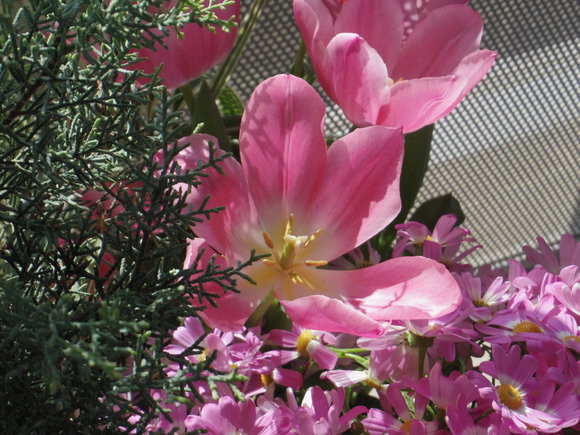 a0152078_9473610.jpg