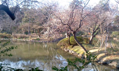 c0069380_20525242.jpg