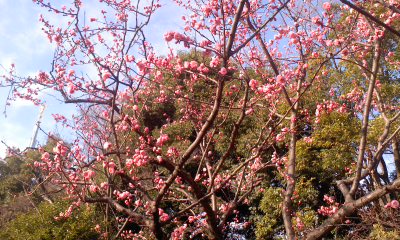 c0069380_20532282.jpg