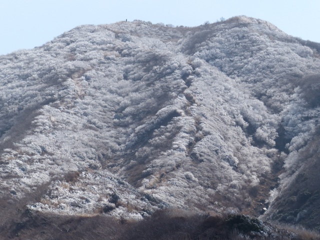 f0357487_22473967.jpg