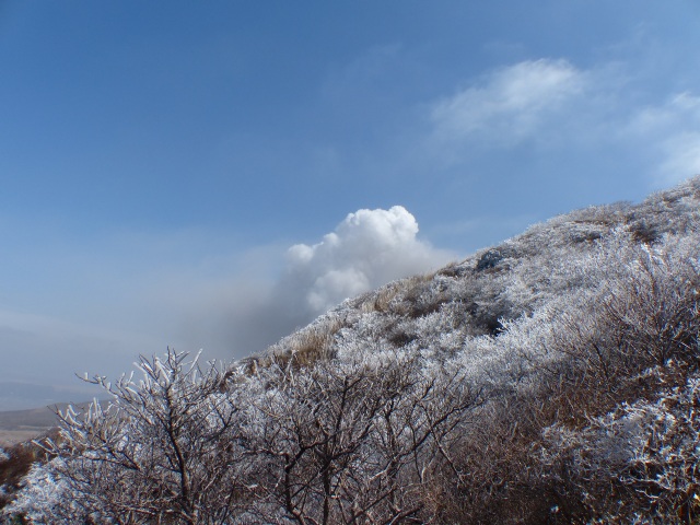 f0357487_22491346.jpg