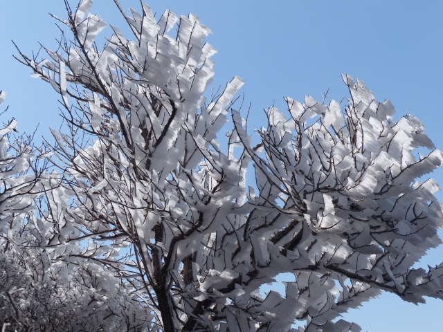 f0357487_22514045.jpg
