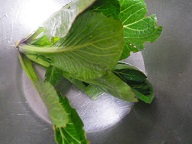 c0280206_964310.jpg