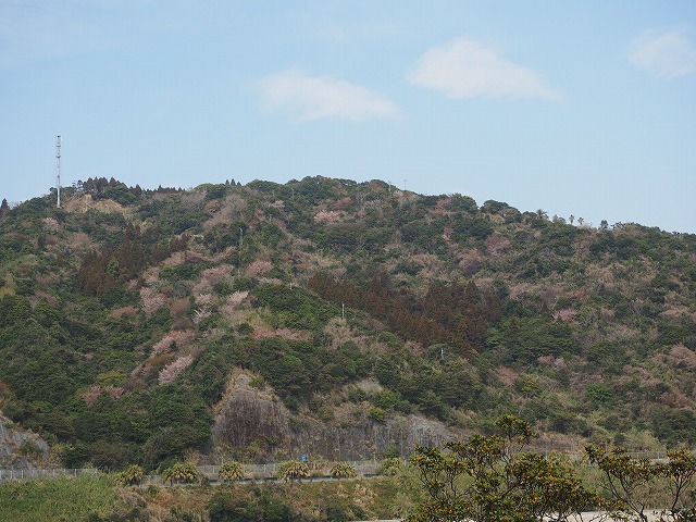 d0059213_16360744.jpg