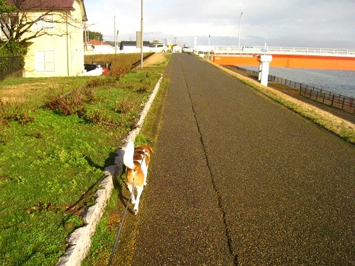 c0084117_2220869.jpg