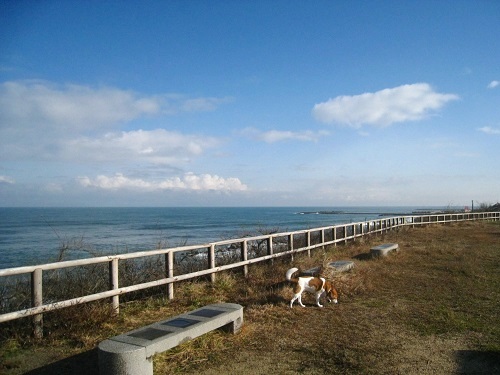 c0084117_22253225.jpg